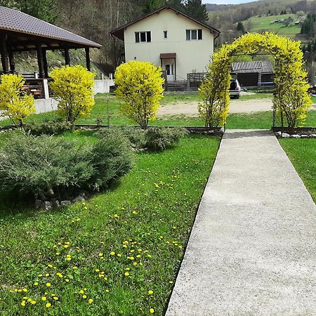 Pensiunea La Rachitele Luaran gambar