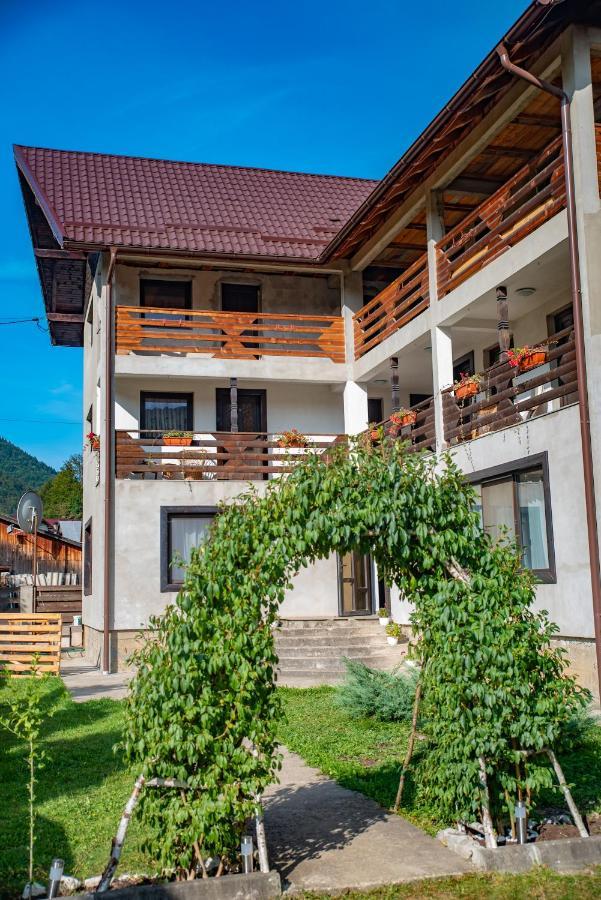 Pensiunea La Rachitele Luaran gambar
