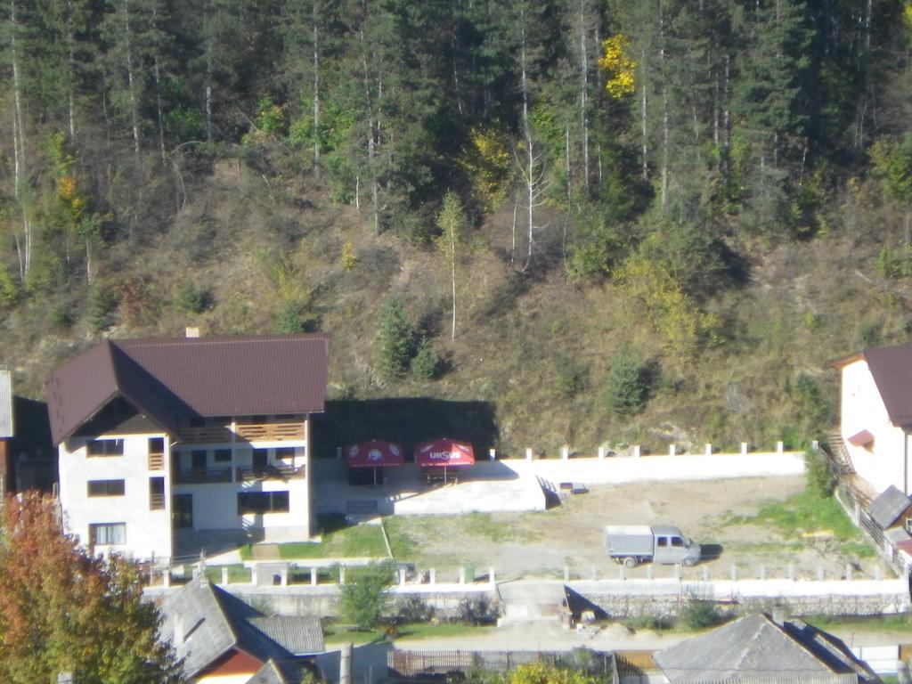Pensiunea La Rachitele Luaran gambar